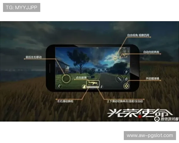 CS游戏中按V键后没有声音的解决方法及可能原因分析